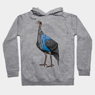 Vulturine guineafowl bird cartoon illustration Hoodie